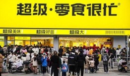 关于零食很忙最新爆料,揭秘幕后故事与最新发展